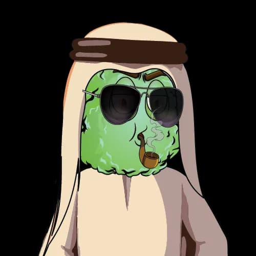 Der Afghane Mascot