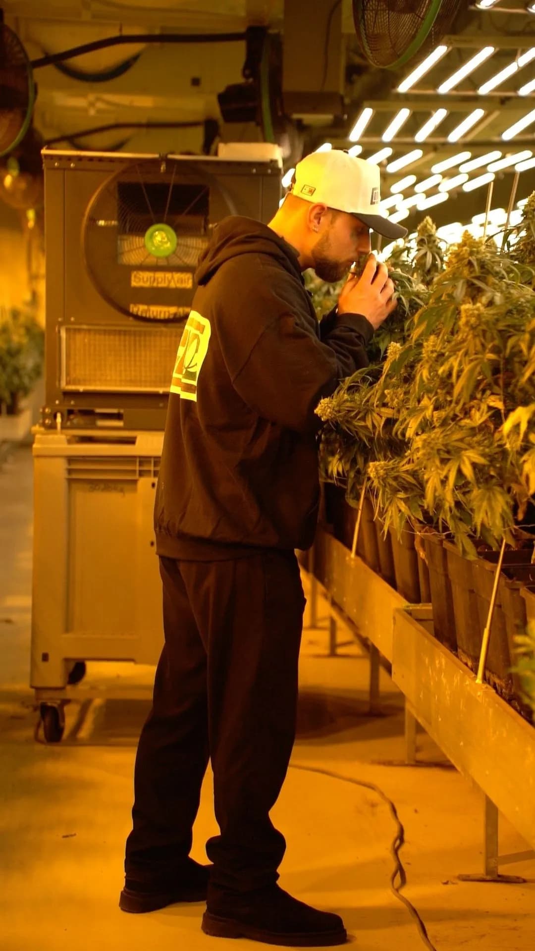Quality control at the cultivation facility