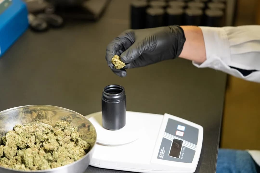 Quality control in the lab